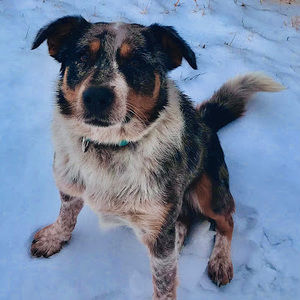 Meet your Posher, Jayme